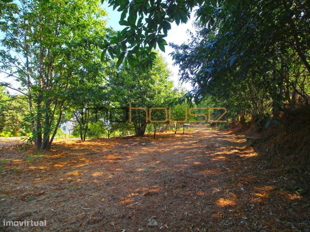 Quinta de 2ha com vista panorâmica - Freigil-11