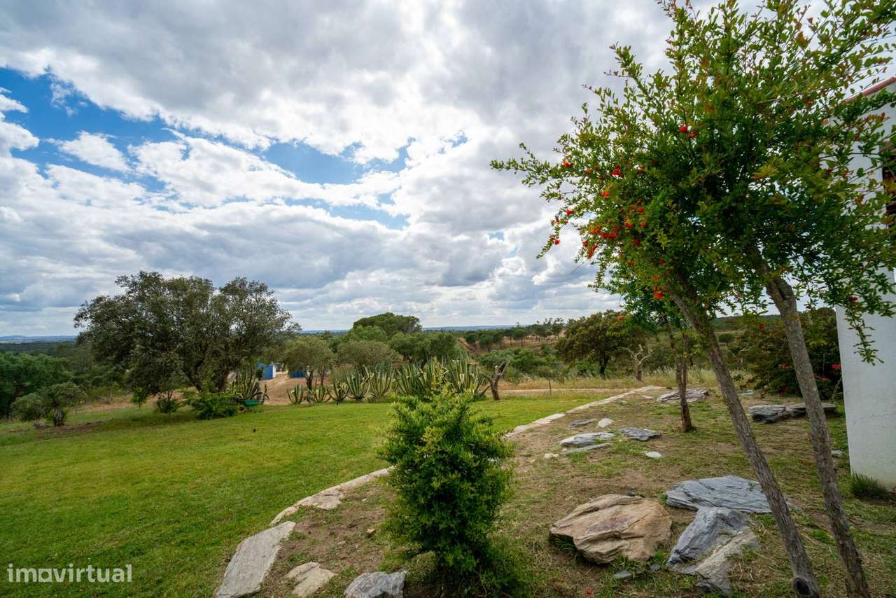 Quinta com Piscina | Venda | Alentejo-48