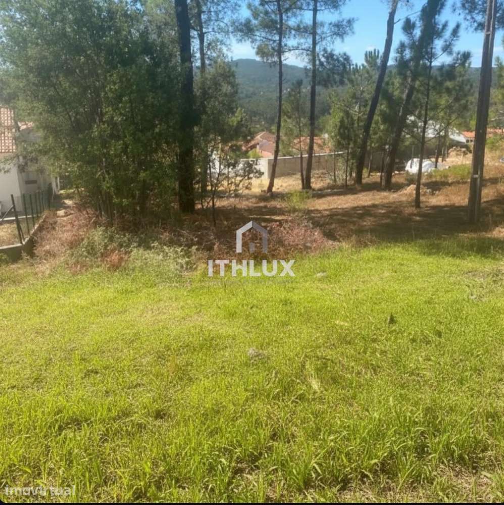 Terreno com Viabilidade de Construção – Amêndoa, Mação (Santarém) - Grande imagem: 3/6