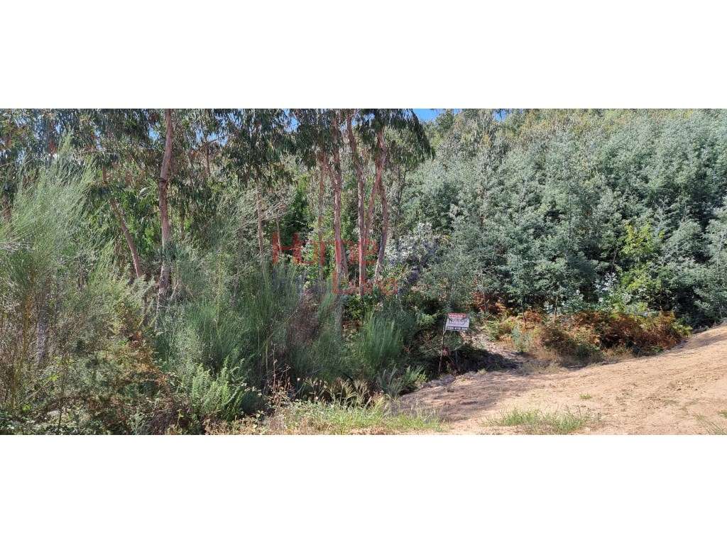 Terreno Rústico - Grande imagem: 4/4