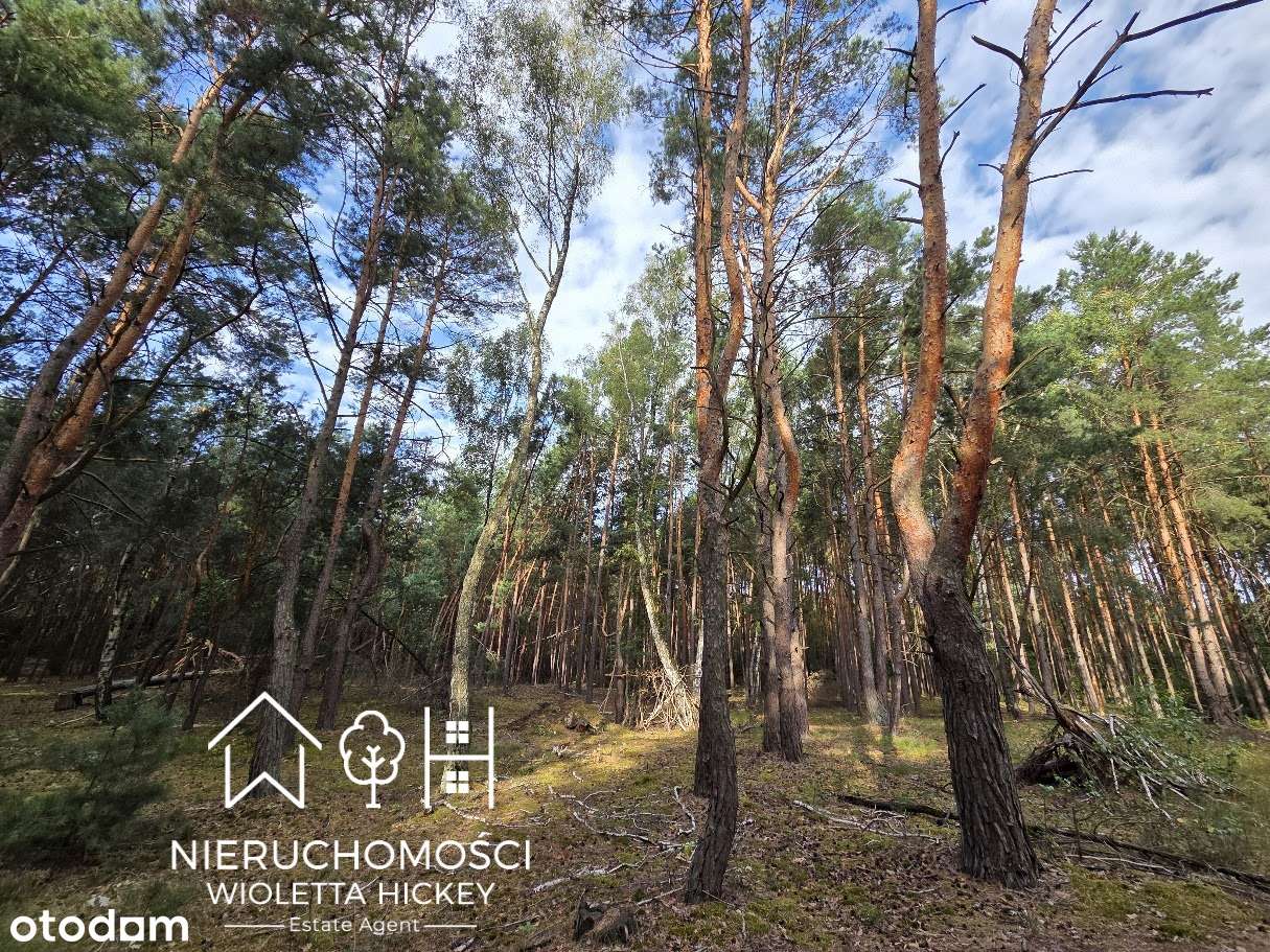 Teren inwestycyjny 5,76 ha – pod zabudowę mieszkaniową 1 ha 2365 m²-11