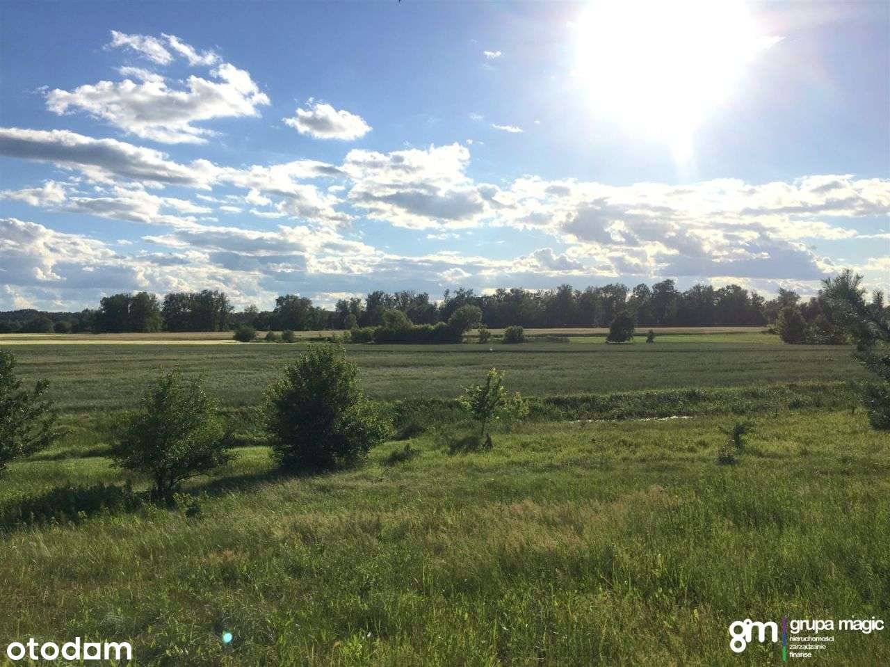 Działka z lasem 7089m2 Grabowiec - Pełny obrazek: 4/8