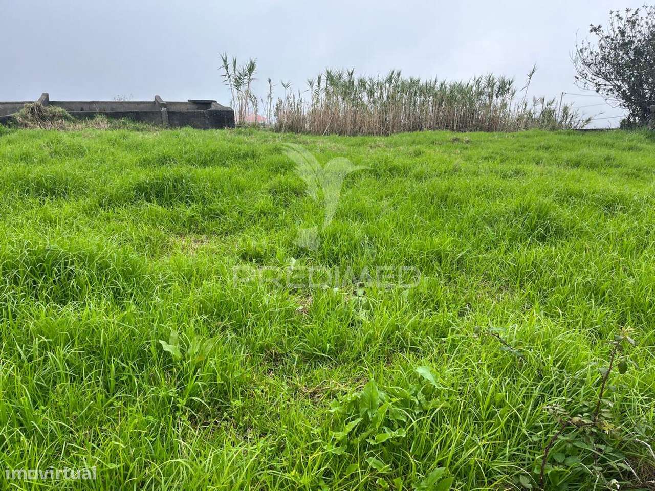VENDO 2 MORADIAS E 600M2 DE TERRENO NA PONTA DO PARGO - Grande imagem: 2/4