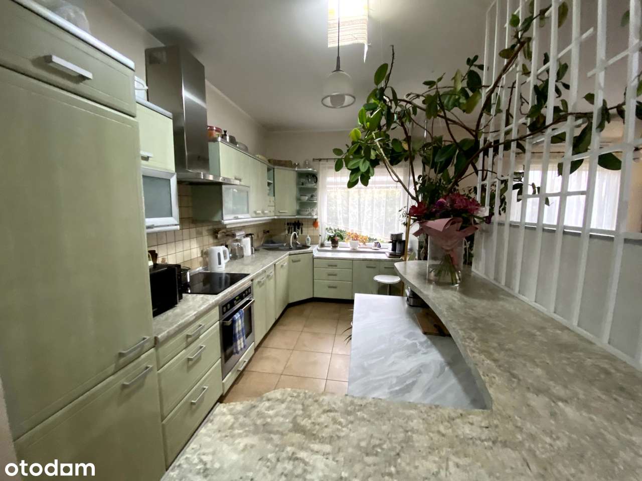 Zacharzew ul. Leśna-12