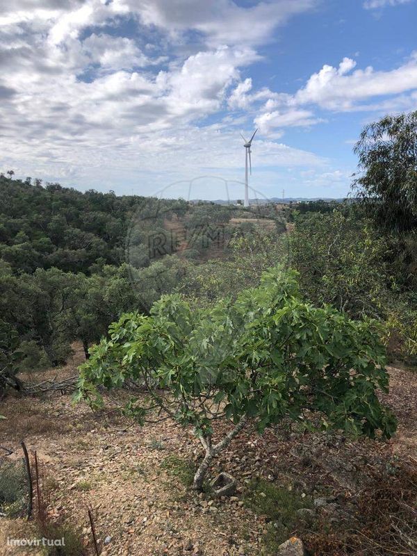 Terreno  para venda