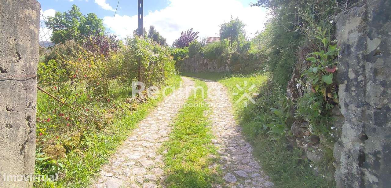 Terreno c/ Viabilidade Construtiva em Ruivães - Vieira do Minho-12