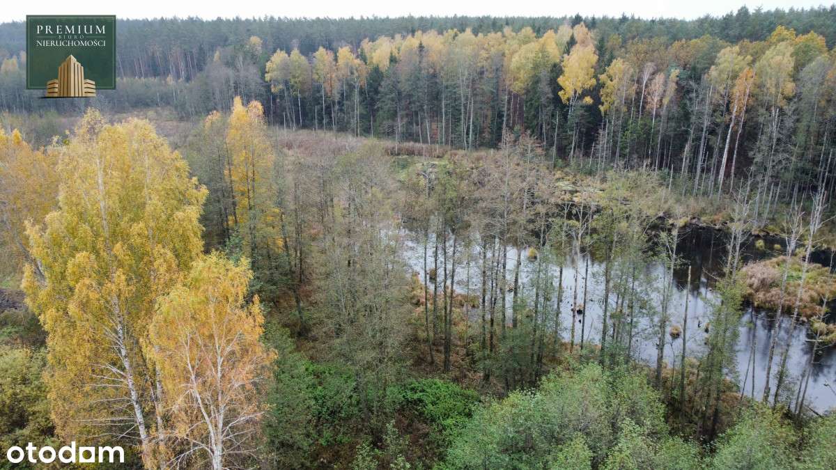 Działka z WZ z własnym lasem i linią brzegową!-5