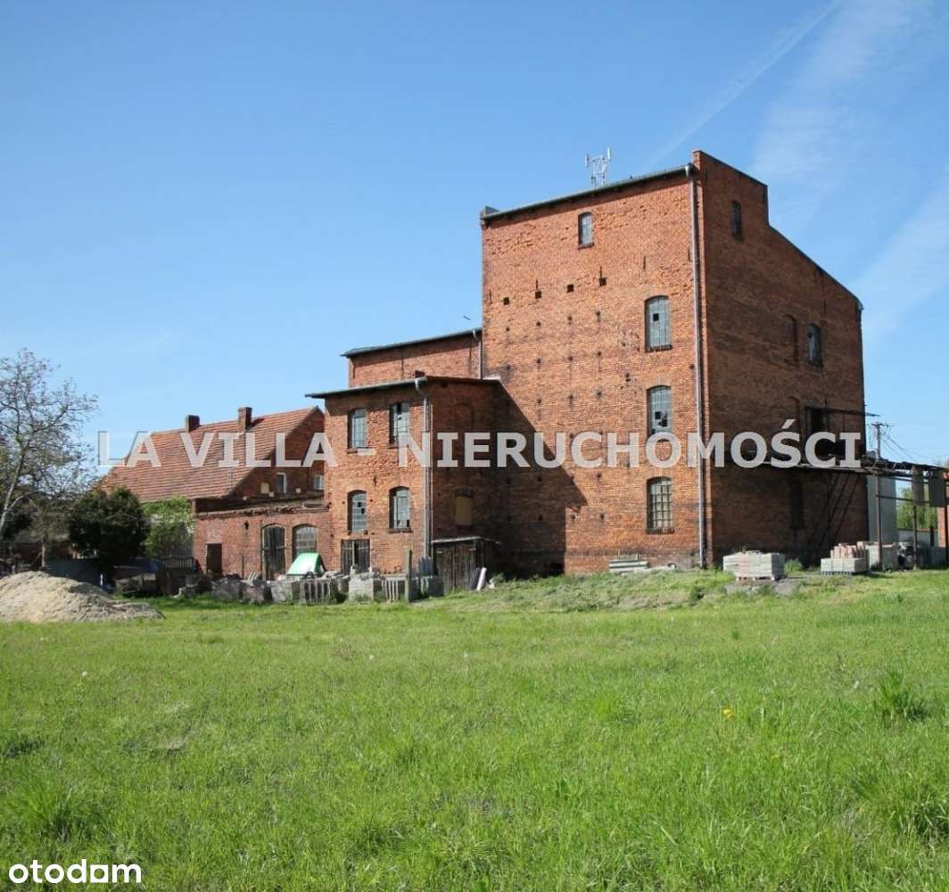 Obiekt lokal usługowo-przemysłowy w Konarach - Pełny obrazek: 4/20