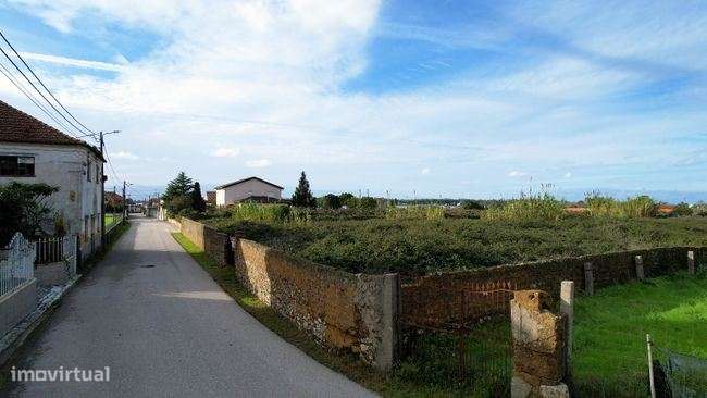 Terreno rústico, para venda, Anadia - Amoreira da Gândara, Paredes ... - Grande imagem: 4/16