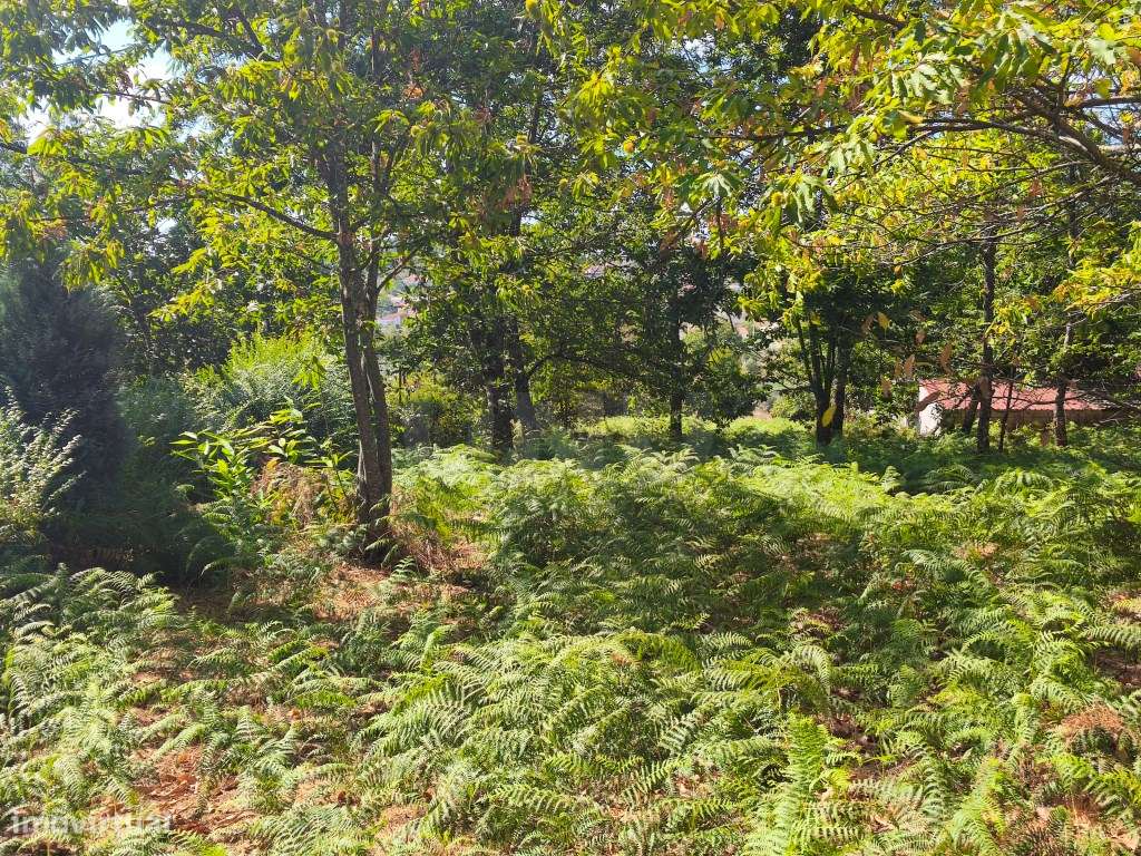 Prédio rústico em zona de construção - Grande imagem: 4/8