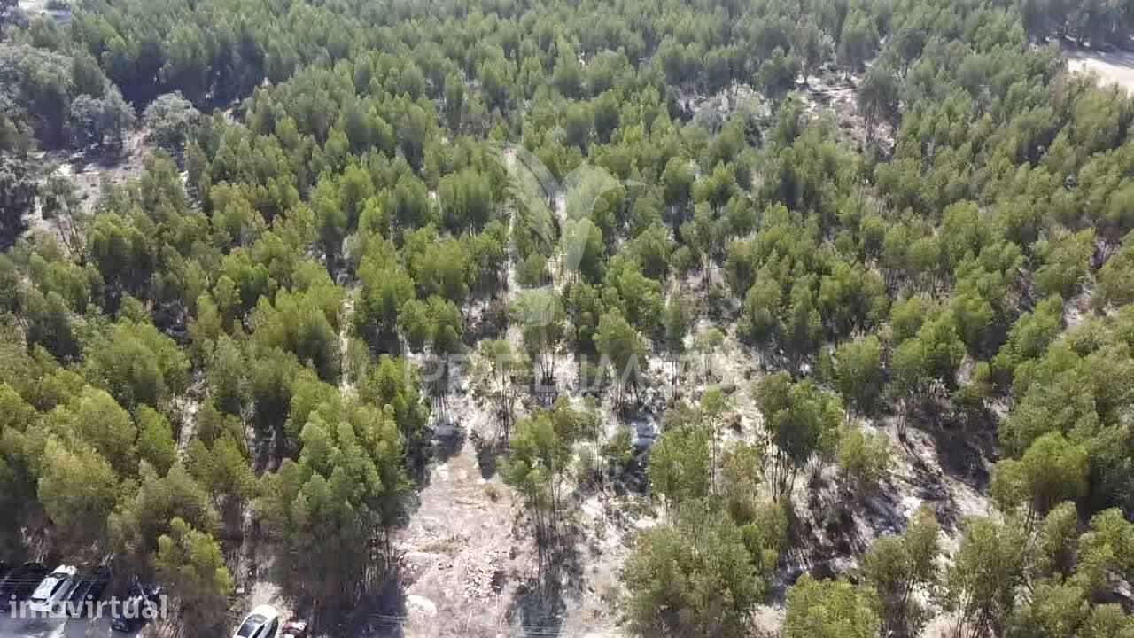 Lote de Terreno em Palmela - Grande imagem: 2/29