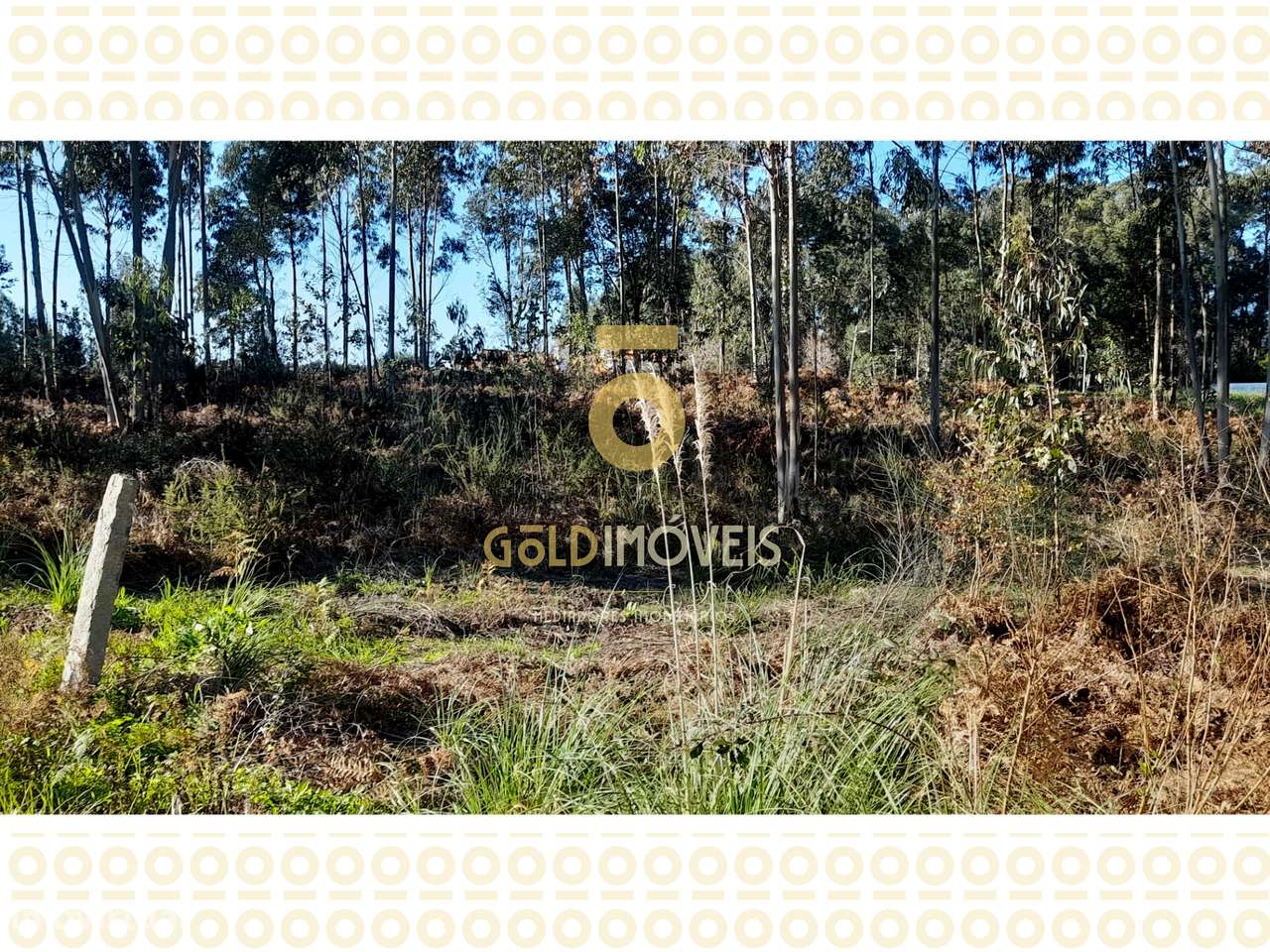 Lote de Terreno para construção em Anta - Espinho - Grande imagem: 3/5