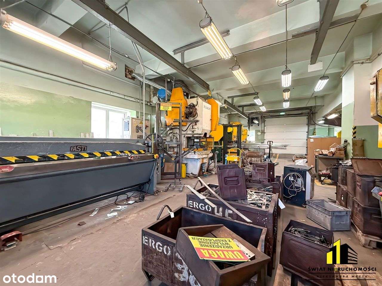 Budynki Produkcyjne z Ogromnym Potencjałem - Pełny obrazek: 5/20