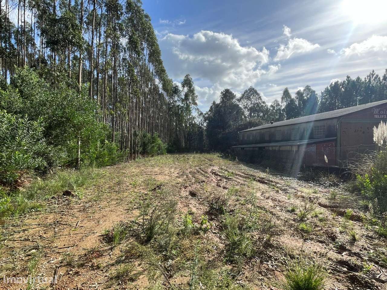 Terreno urbano para venda com 3 500m2 em Santa Maria da Feira. - Grande imagem: 4/4
