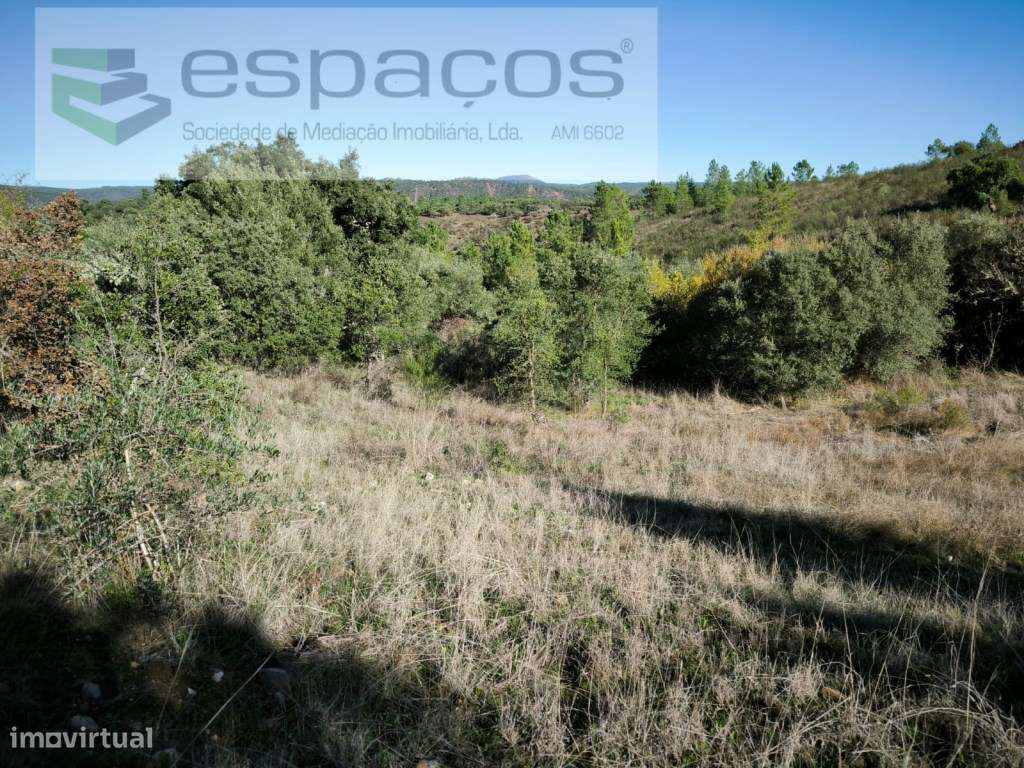 Terrenos com poços - Lentiscais - Grande imagem: 2/19