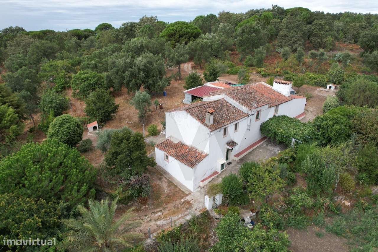 Herdade com 10Ha (100.000m2) na freguesia da Sé, Portalegre - Grande imagem: 2/28