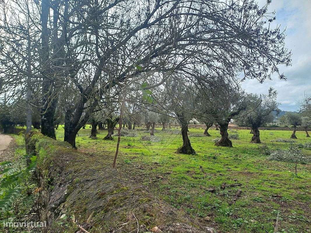 Moradia T11 para venda - Grande imagem: 4/50