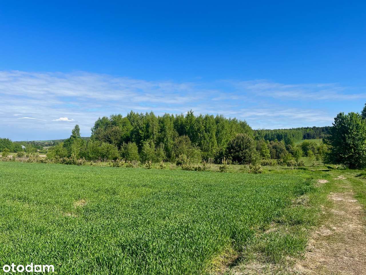 Działka budowlana - Czostków-1