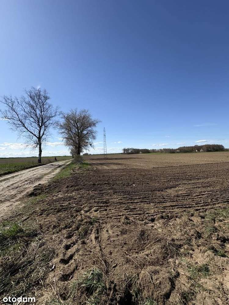 Duża działka - Parlino - Pełny obrazek: 4/8