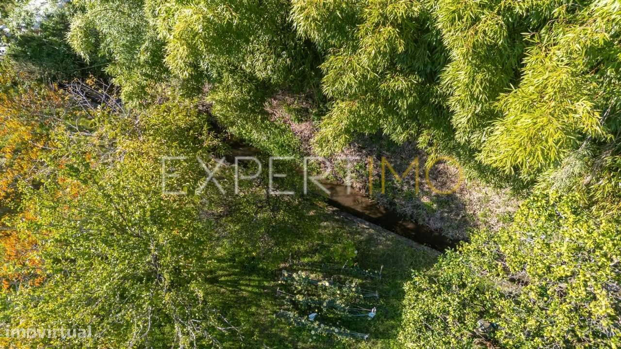 Terreno junto a Ribeiro em Quinta do Colaço (Almalaguês/Coimbra) - Grande imagem: 5/12