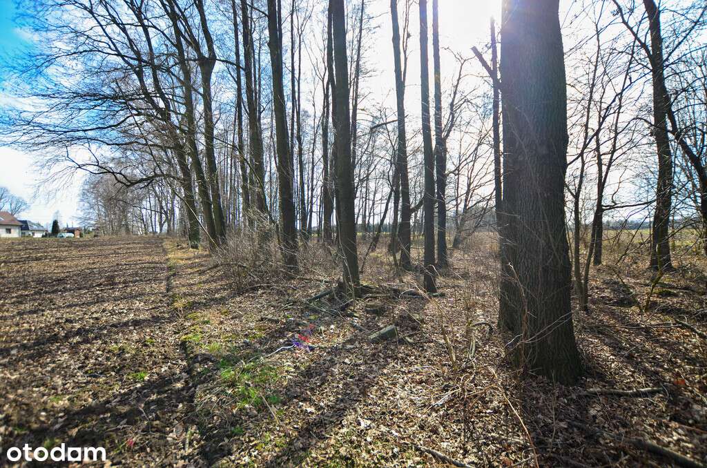 Strumień_Zbytków_działka budowlana_2738 m-2