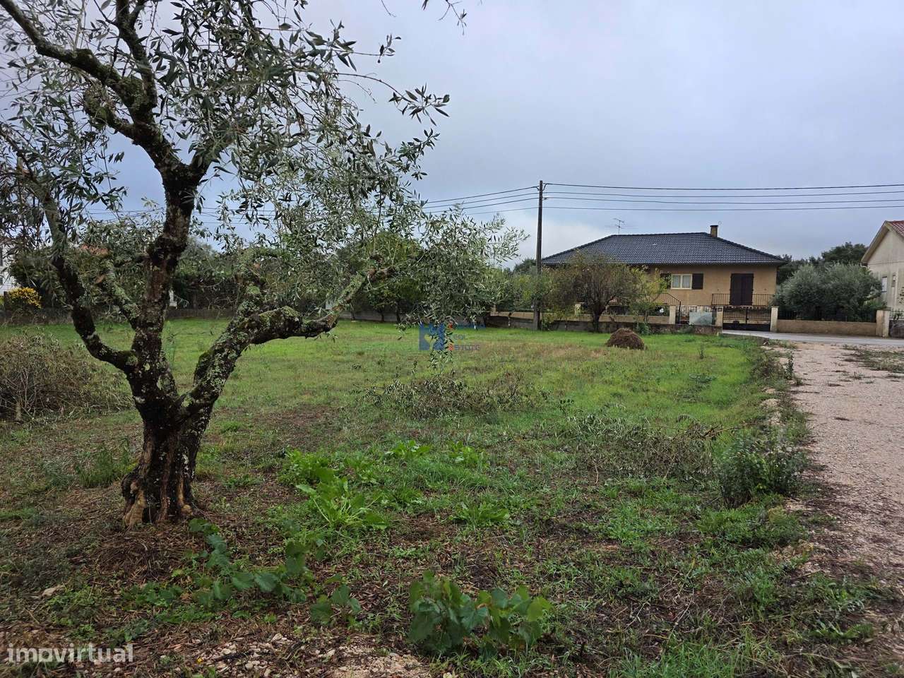 Lotes de Terreno para Construção em Fátima-9