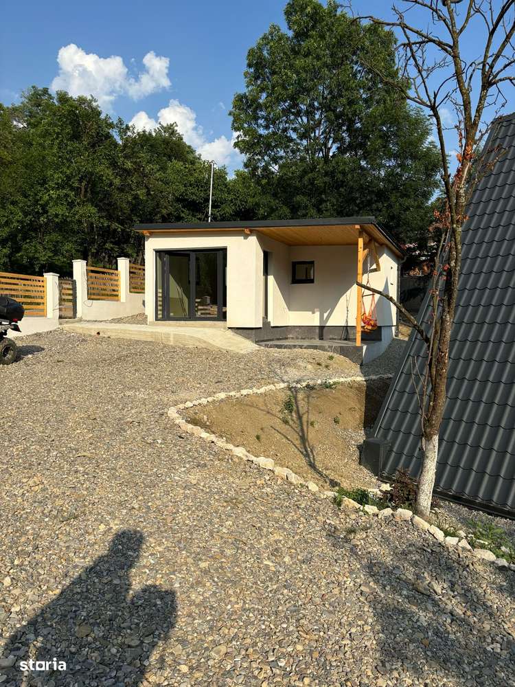 Case de vanzare-case de vacanta, Campina, Plaiul Campinei-8