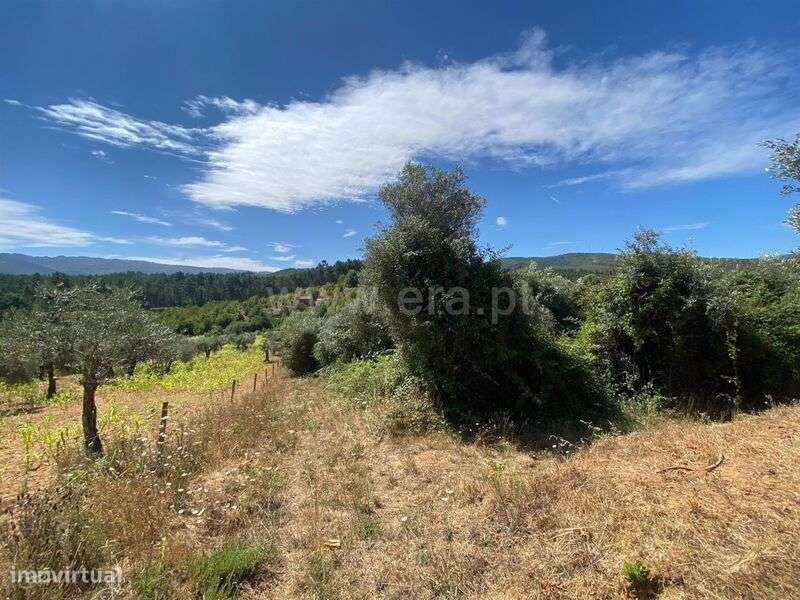Terreno Rústico / Fundão, Castelejo - Grande imagem: 5/5