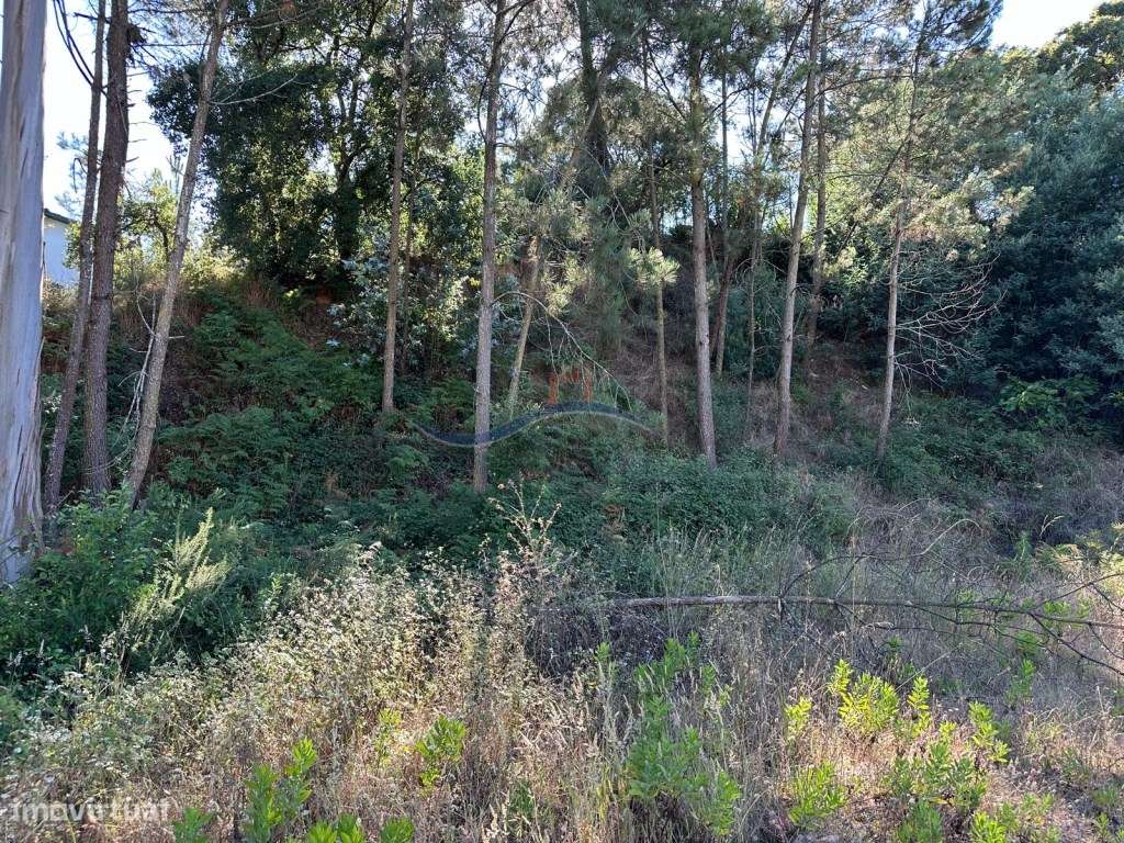 Terreno - Barreiros, Amor - Grande imagem: 5/8