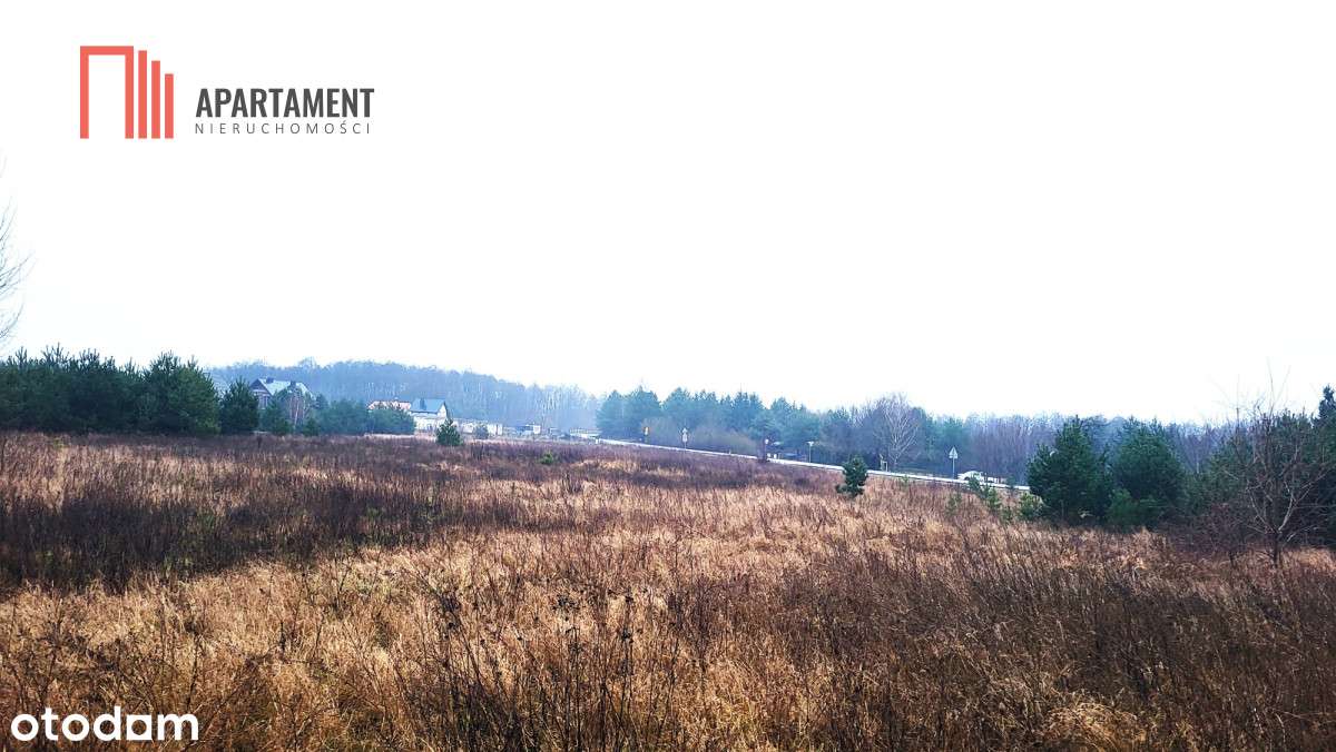 Duża narożna działka z prądem, las, jezioro. - Pełny obrazek: 2/5