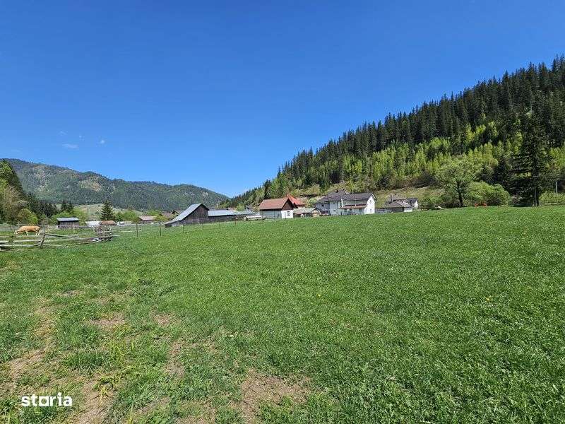 Teren de vanzare in Bucovina zona Pojorata pe Transrarau - Imagine principală: 5/7