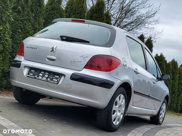 Peugeot 307 1.6 Premium - 12