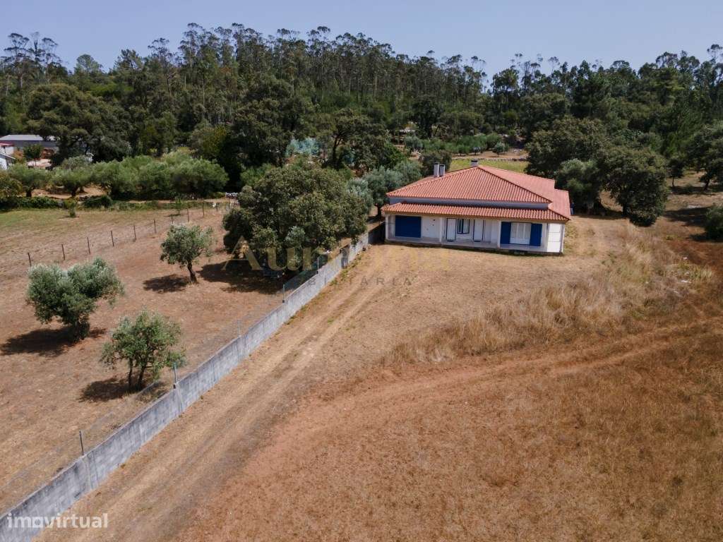 Moradia Térrea T3 com Terreno 1600m2 - Giesteira - Fátima-37