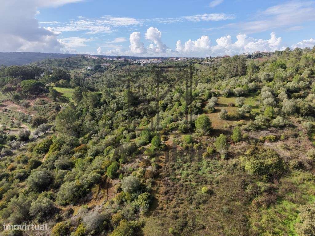 Oportunidade Única de Investimento Agrícola em Alenquer-18