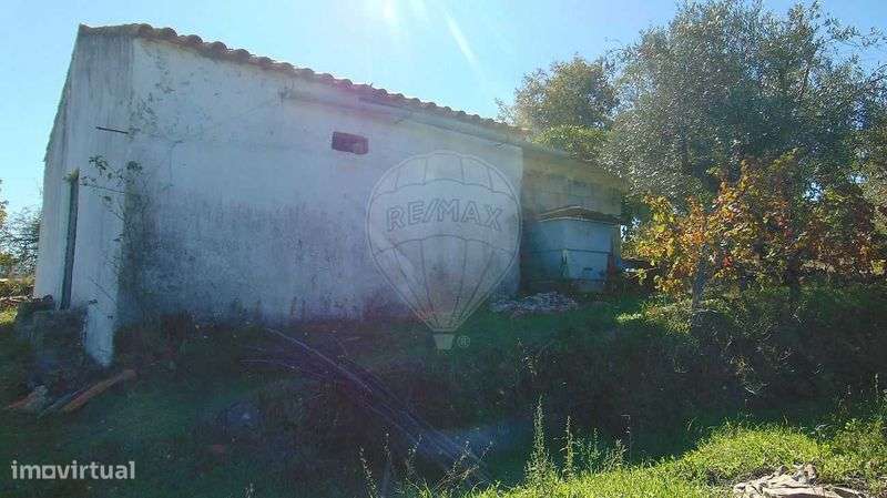 Venda: Quinta em Celorico da Beira/ Vila Boa Do Mondego - Grande imagem: 4/9