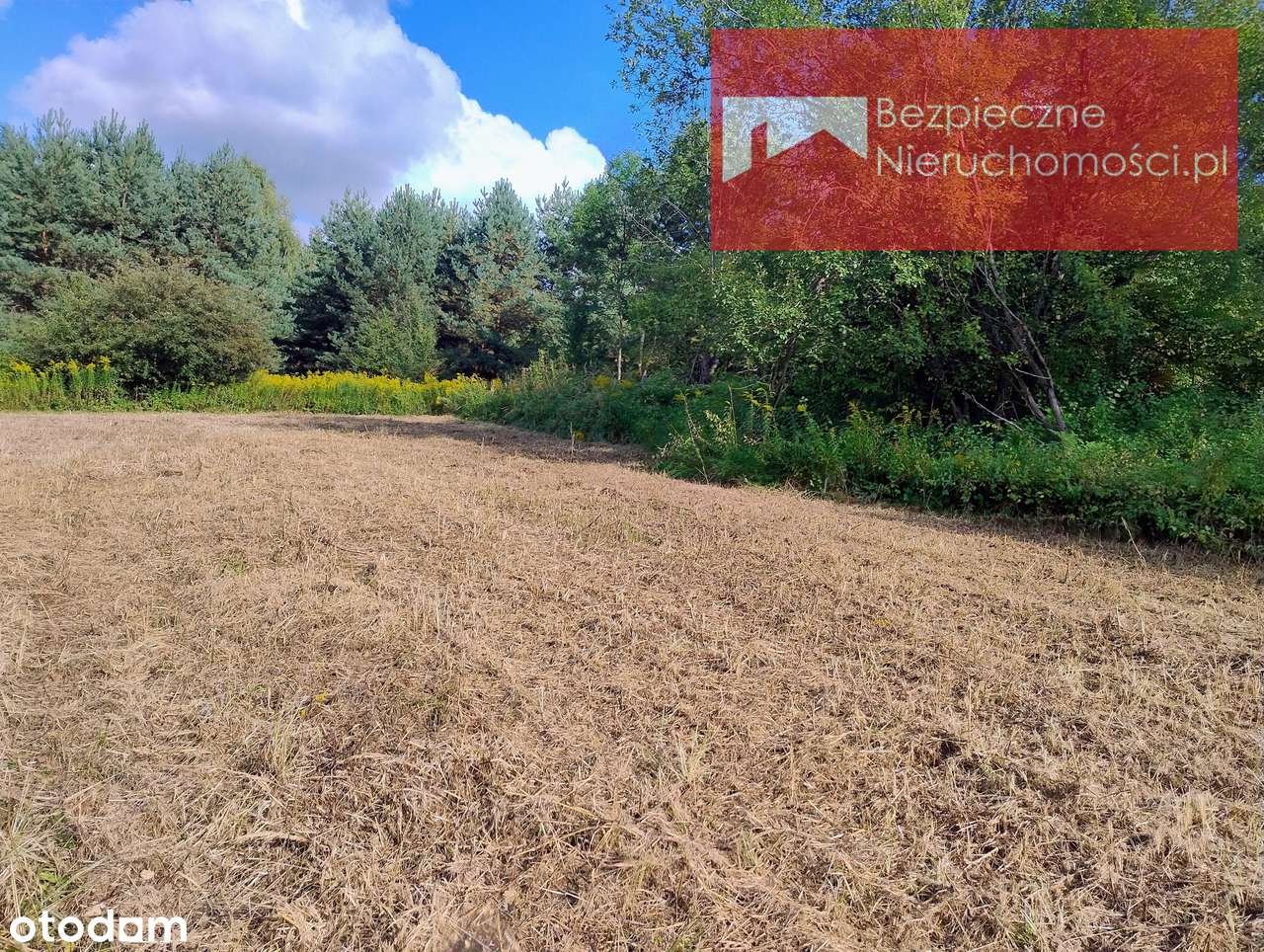 Działka budowlana 2150 m2 w otoczeniu zieleni - Pełny obrazek: 4/8