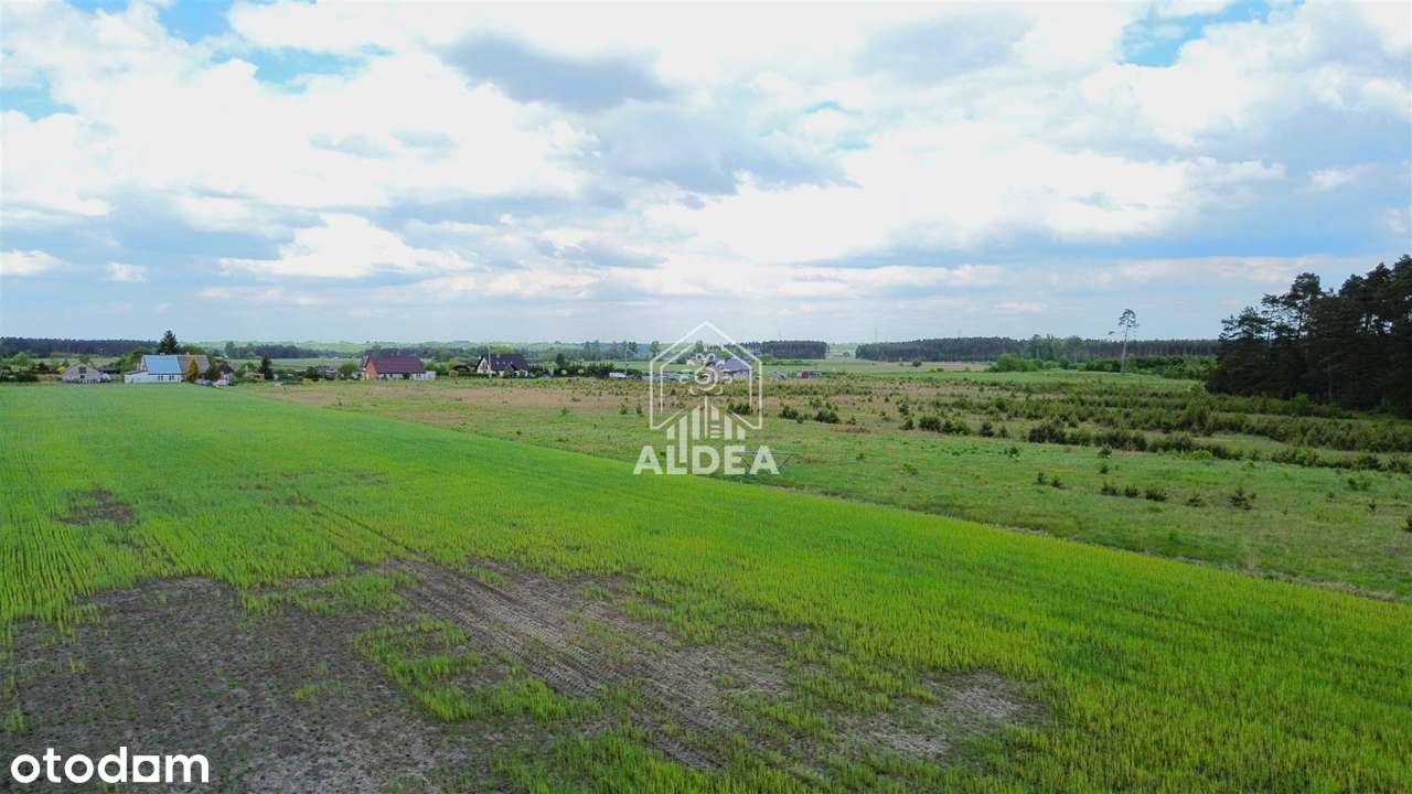 Działki ze Ścianą Lasu Znakomita Oferta - Pełny obrazek: 4/7