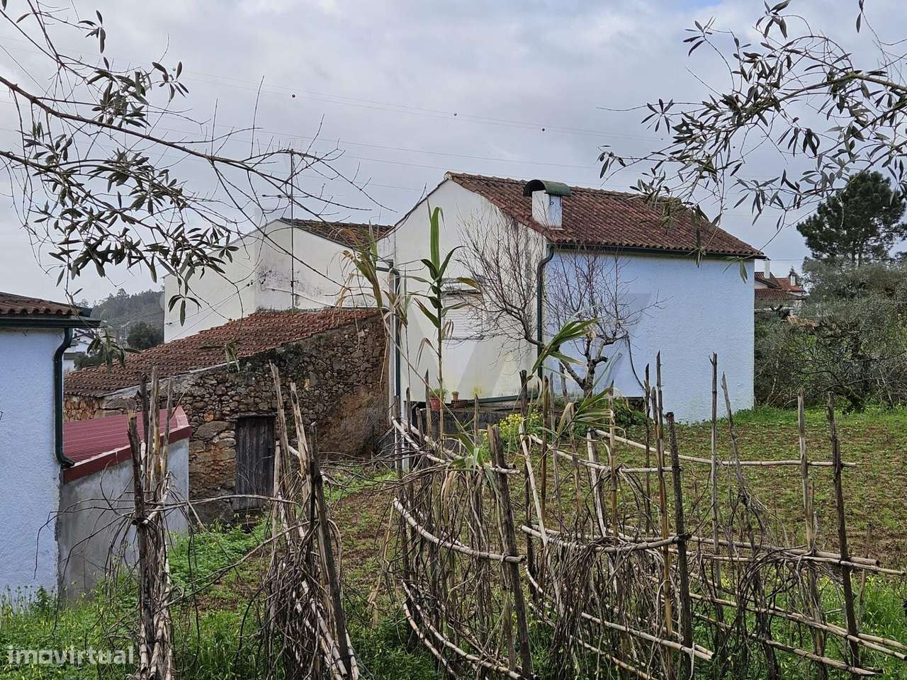 Moradia T3 | Habitável | Brasfemes - Grande imagem: 3/31