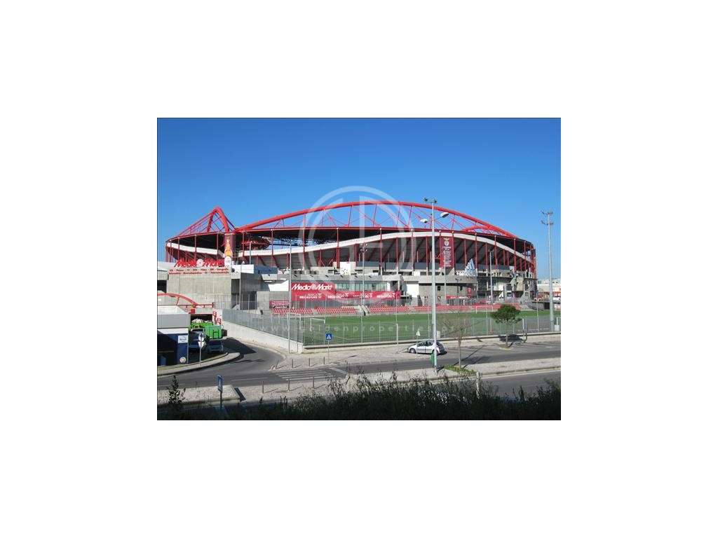 Apartamento T2 em Lisboa - Benfica - Imóvel Ocupado - Grande imagem: 4/4