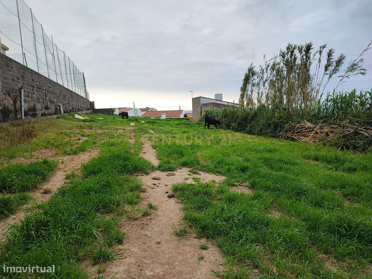 Terreno urbano vista soberba - costa sul - Grande imagem: 4/6