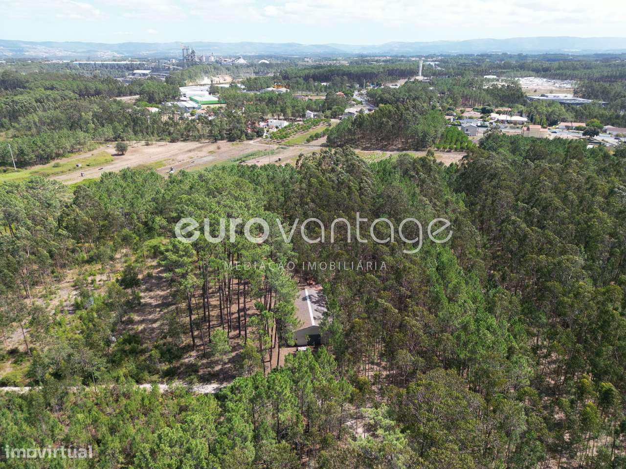 Pavilhão Amplo destinado a Agricultura - Grande imagem: 5/19