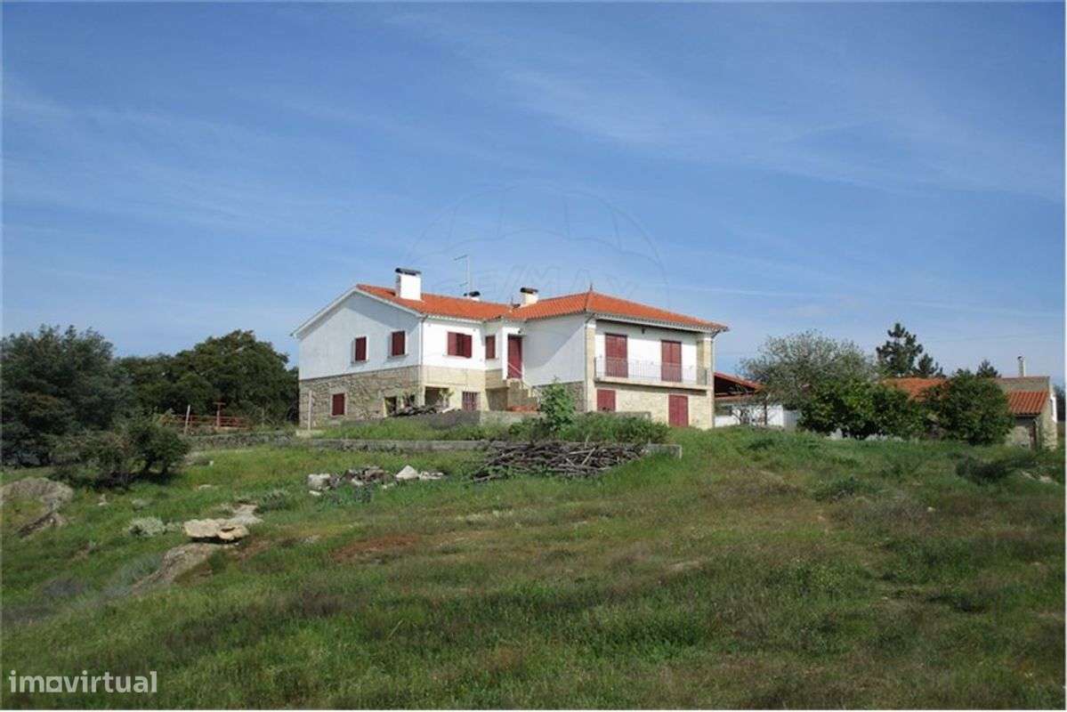 Quinta T4 para venda - Grande imagem: 5/50