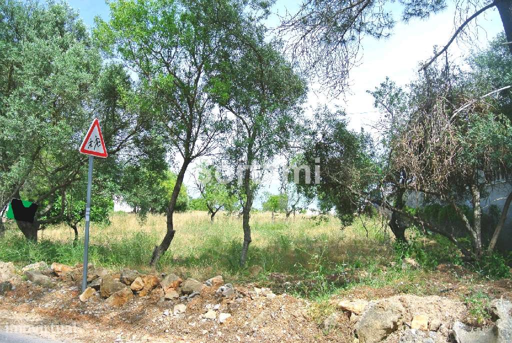 Terreno Para Construção  Venda em Santa Bárbara de Nexe,Faro - Grande imagem: 2/6