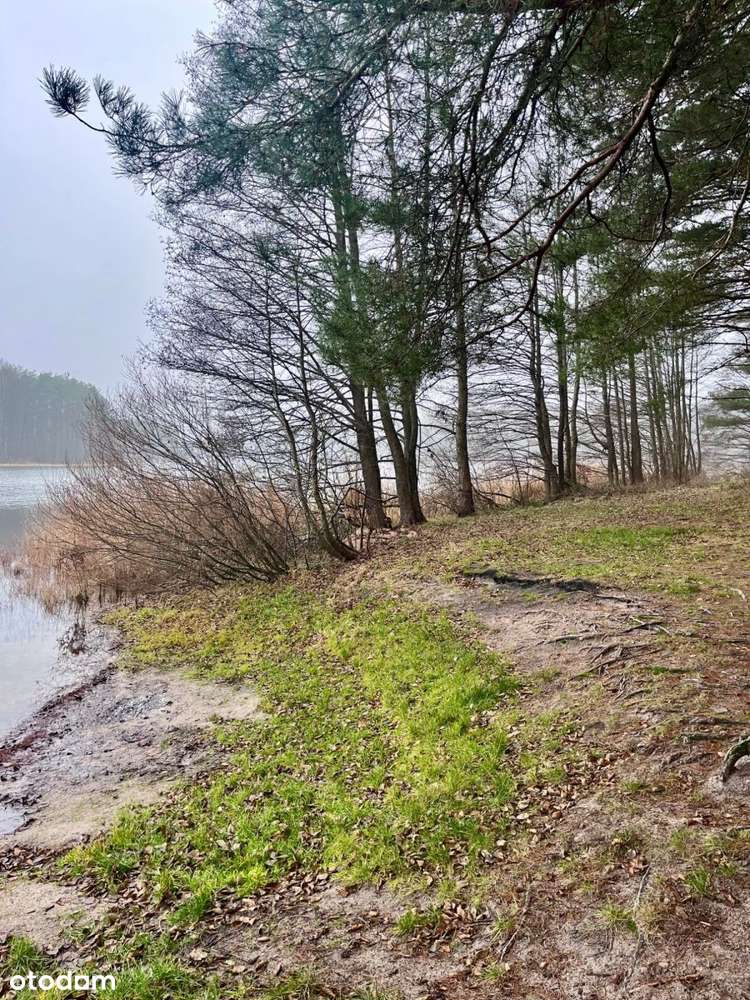 Dom na Kaszubach, 197m2, koło Stężycy, piwnica-18