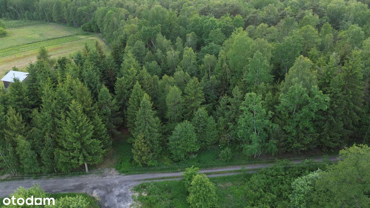 Działka leśna z WZ w pięknej okolicy-5
