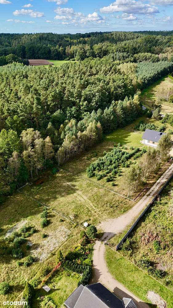 Oferuję działkę Czarnówko z projektem domu Nowoczesnej Stodoły DEX 106 - Pełny obrazek: 4/5