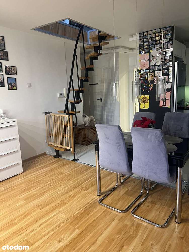 Bezczynszowe 2 pokoje plus antresola balkon duża piwnica - Pełny obrazek: 5/16