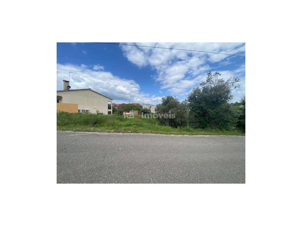 Terreno Rústico com possibilidade de Construção - Carregueiros, Tomar - Grande imagem: 5/7