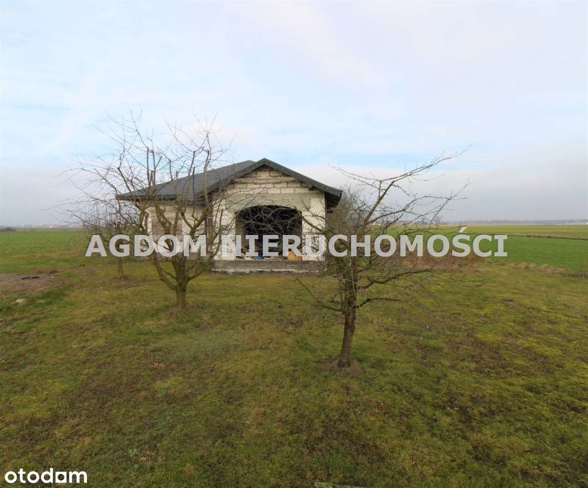 Piękny dom w Gustorzynie - Pełny obrazek: 4/12