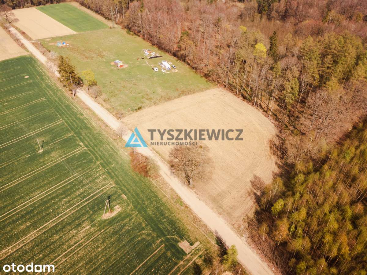 Duża działka niedaleko Krokowej. - Pełny obrazek: 5/20